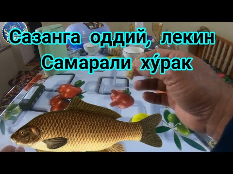 Видео: САЗАНГА ОДДИЙ ЛЕКИН  БАРАКАЛИ ХУ́РАК ТАЁРЛАШ