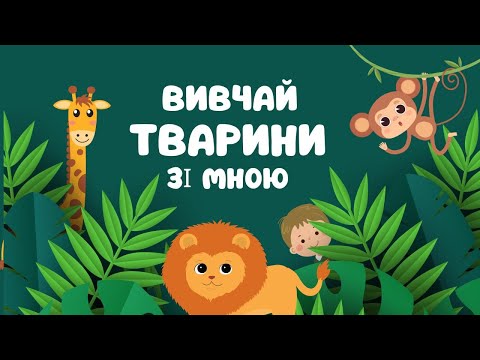 Видео: Ігрове навчання для дітей: Відгадай тварину
