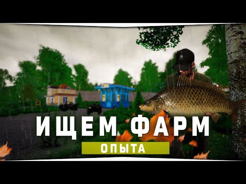 Видео: Ищем фарм опыта • Русская Рыбалка 4