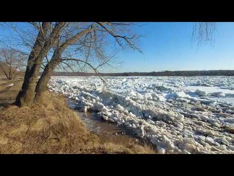Видео: Ока Ледоход 2024 (2)