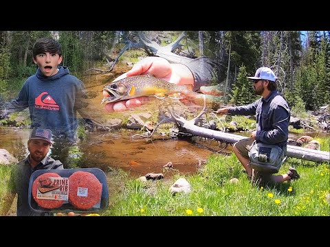 Видео: Ловля форели и кемпинг с моим братом!! (Поймай и приготовь)