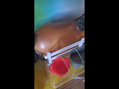 Видео: Распаковываю семью мустангов Breyer. 