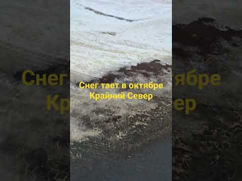 Видео: Аномальное потепление.. Крайний Север