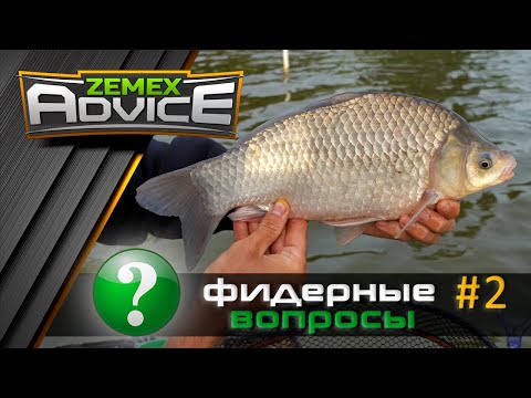 Видео: ВСЁ О ФИДЕРЕ / ОТВЕТЫ НА ВОПРОСЫ / ZEMEX Advice