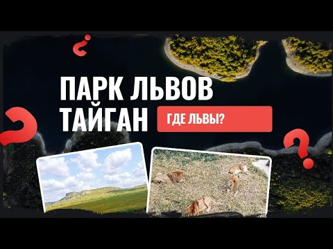 Видео: Тайган_Цены 2025_Парк львов_