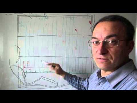 Видео: Обрезка старого куста винограда (2).