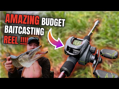 Видео: Тестирование НОВОЙ мультипликаторной катушки Fox Rage Warrior — УДИВИТЕЛЬНОЕ соотношение цены и к...