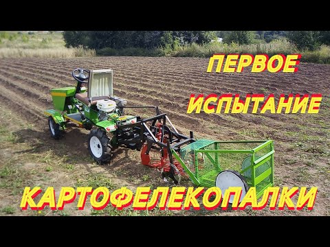 Видео: ПЕРВОЕ ИСПЫТАНИЕ КАРТОФЕЛЕКОПАЛКИ Самодельный минитрактор  из мотоблока