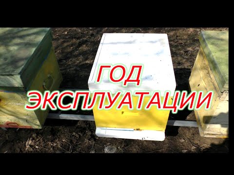 Видео: Ульи ППУ.  Год эксплуатации