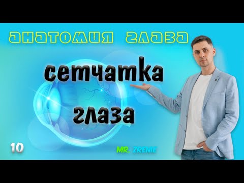 Видео: Сетчатка глаза человека