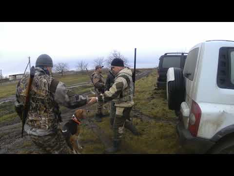 Видео: Охота на шакала № 11