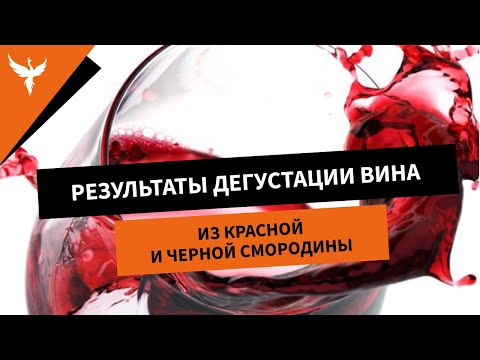 Видео: Результаты дегустации вина из красной и черной смородины