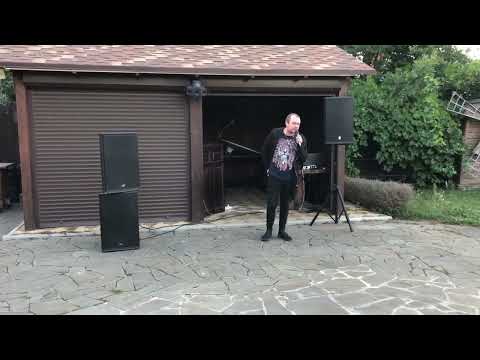 Видео: а это вами полюбившиеся ЛЕБЕДИ))))