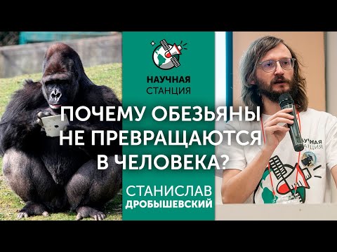 Видео: Почему обезьяны не превращаются в людей? Станислав Дробышевский