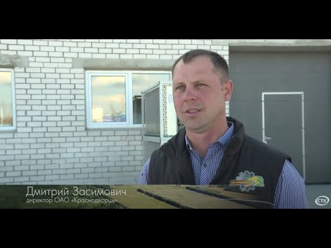 Видео: Профессия в лицах: Дмитрий Засимович директор ОАО "Краснодворцы"