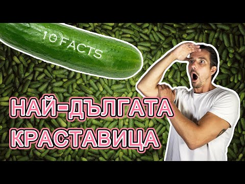 Видео: НАЙ-ДЪЛГАТА КРАСТАВИЦА - 10 СМАЙВАЩИ ФАКТА