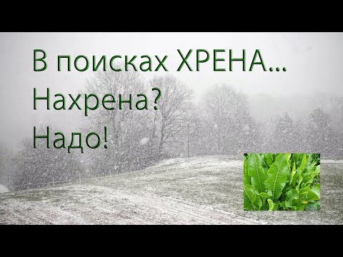 Видео: Копатели. Зимой за ХРЕНОМ...