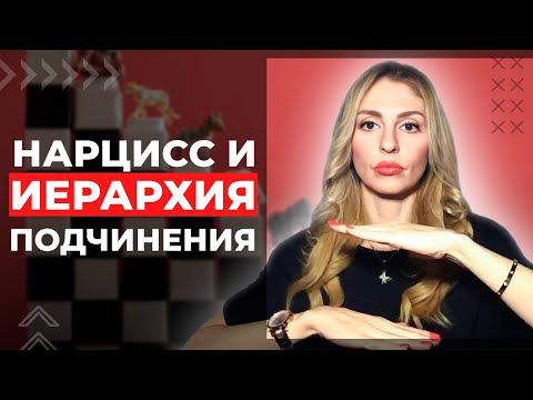 Видео: 🔺Иерархия подчинения в отношениях с Нарциссом🔻