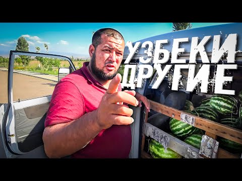 Видео: Я не ожидал такого от узбеков / Вы должны знать, что вас ждёт в Узбекистане #Узбекистан #Ташкент