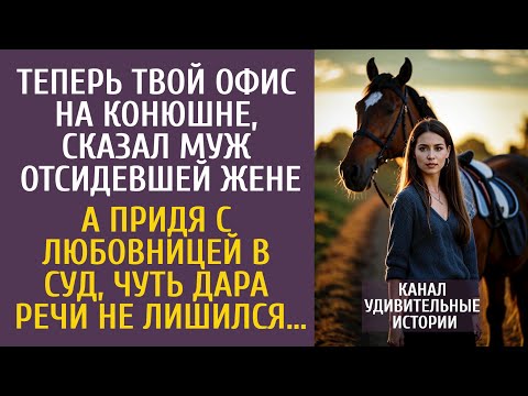 Видео: Теперь твой офис на конюшне! - сказал муж отсидевшей жене… А придя с любовницей в суд, оцепенел…