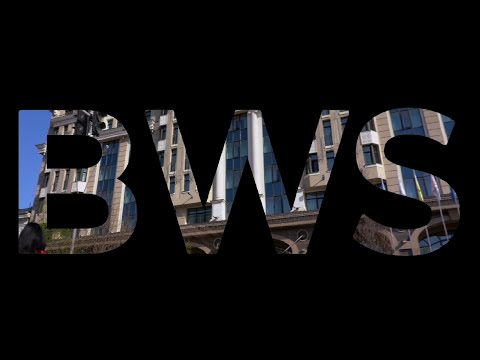 Видео: Business Wisdom Summit 2024: як це було