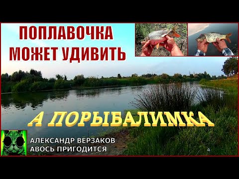 Видео: А порыбалимка 16/21г. Поплавочка может удивить.