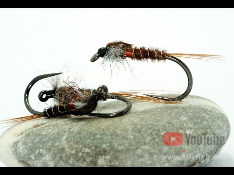 Видео: Нимфа Маскинса