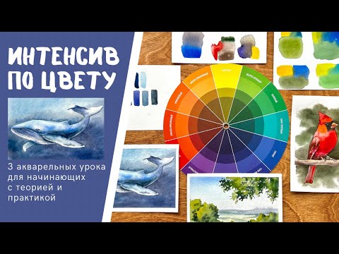 Видео: КАК СМЕШИВАТЬ ЦВЕТА - акварель для начинающих! Урок 1