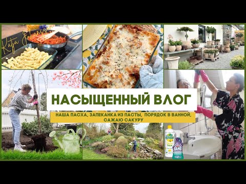 Видео: ПАСХАЛЬНЫЙ СТОЛ 🐣ЗАПЕКАНКА ИЗ ПАСТЫ 🍝САЖАЮ САКУРУ 🌸ЭКСПРЕСС УБОРКА В ВАННОЙ🛀