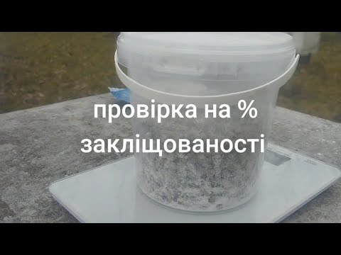 Видео: кліщ Varroa, перевірка на закліщованості бджіл кліщем варроа на пасіці