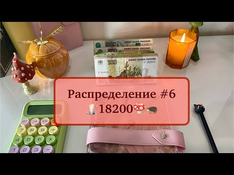Видео: #6 ОБНОВОЧКИ💍📖 Распределяю 18200 по системе денежных конвертов💌 #cashenvelopes #распределениеденег 