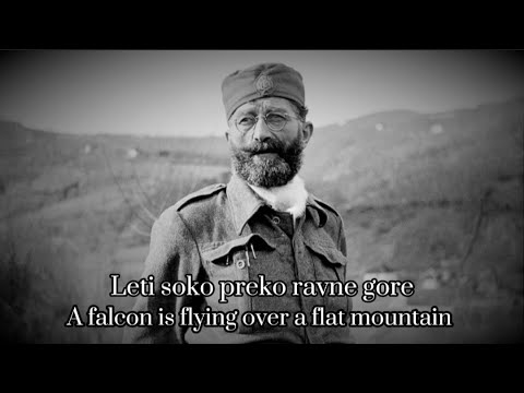 Видео: "Лети соко преко равне горе" - Chetnik Patriotic Song [Lyrics]