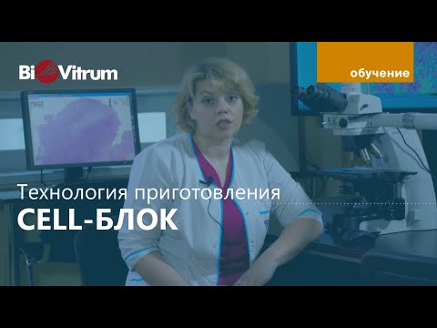 Видео: Как сделать клеточный блок?