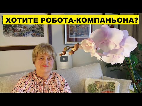 Видео: А ВЫ ХОТЕЛИ БЫ РОБОТА-КОМПАНЬОНА?..СИДИМ НА ЛАВОЧКЕ в НОВОЙ ЗЕЛАНДИИ