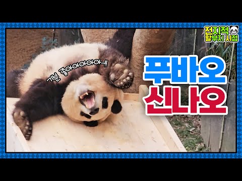 Видео: (SUB) Панда Фубао очень любит новый слайд!🐼│Мир панд