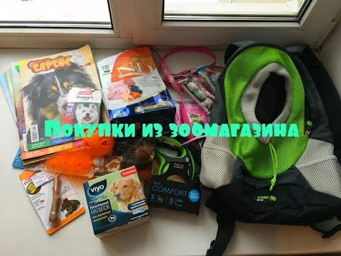 Видео: Большие покупки из зоомагазина