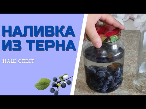 Видео: НАЛИВКА ИЗ ТЕРНА ИЛИ НАСТОЙКА ИЗ ТЕРНА в домашних условиях рецепт
