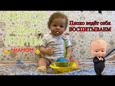 Видео: ВЕЧЕР ПОСЛЕ САДИКА С РЕБОРНОМ ЛИАМОМ | ВОСПИТЫВАЮ РЕБОРНА