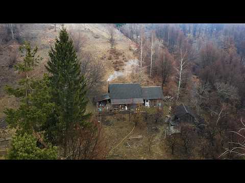 Видео: Горная изоляция – тихая жизнь человека в окружении гор и животных вдали от цивилизации