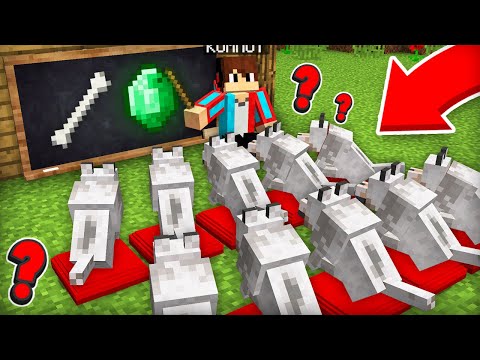 Видео: Я ОТКРЫЛ ШКОЛУ ДЛЯ СОБАК В МАЙНКРАФТ | Компот Minecraft