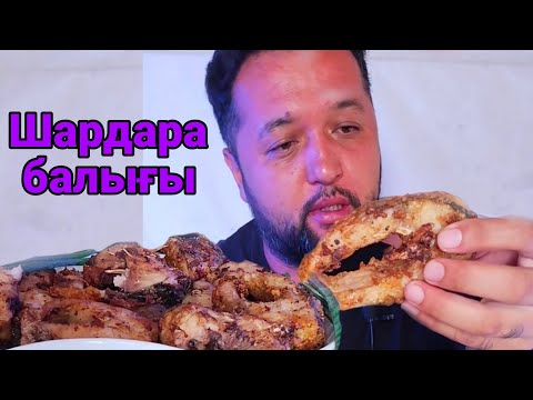 Видео: ШАРДАРАНЫҢ БАЛЫҒЫ МУКБАНГ АСМР // РЫБА // SEAFOOD FISH ASMR EATING SHOW MUKBANG