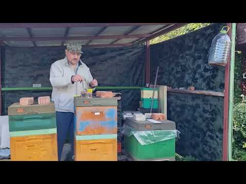 Видео: 🔴 Вы хотите 💯% выхода из зимовки? - Тогда подскажу, что я добавляю в сахарный сироп для пчел 🔴