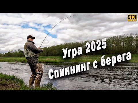 Видео: Река Угра. Рыбалка на спиннинг с берега 2025