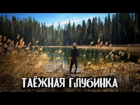 Видео: Здесь человек - ГОСТЬ РЕДКИЙ | Путешествие на дикое ОЗЕРО