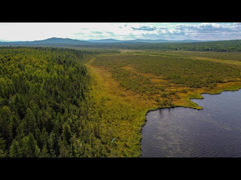 Видео: Озеро Узкое. Свердловская область. Окрестности поселка Сосновка.