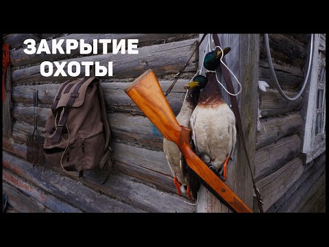 Видео: Душевное ЗАКРЫТИЕ весенней охоты на селезня. Утка СНЕСЛАСЬ на воде!