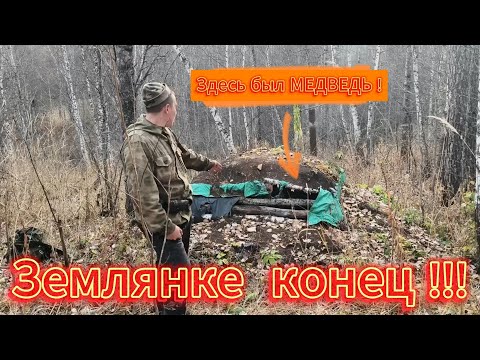 Видео: МЕДВЕДЬ РАЗНЕС ЗЕМЛЯНКУ ! ЧТО ОН ТАМ ИСКАЛ ?! ОХОТА НА РЯБЧИКА . ПЕШИЙ ПОХОД В ЛЕСНОЕ УБЕЖИЩЕ . 