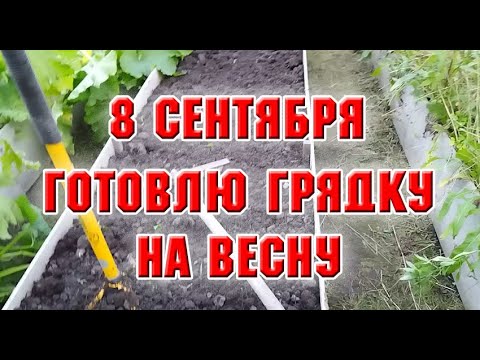 Видео: 8 сентября.  Готовлю грядки к зимовке