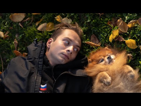 Видео: Алопеция