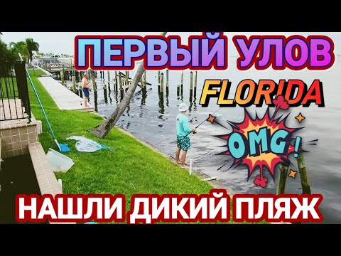 Видео: ❣️НАШЛИ Пляж!Первый Улов!Флорида !
